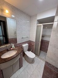 Castle Green (D26), Condominium #498748241